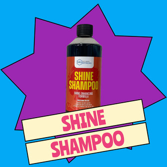 SHINE SHAMPOO - So Wax Detailing Ltd